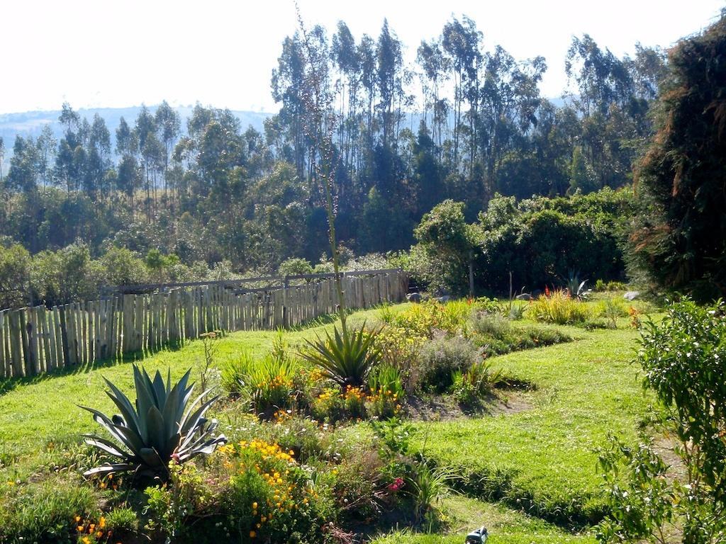 Hosteria Hotel Cuello De Luna - Cotopaxi - Country Inn Lasso Ngoại thất bức ảnh
